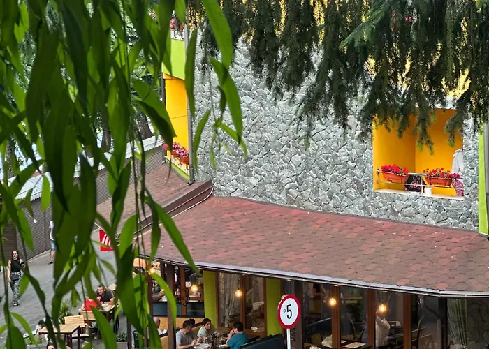 Pensiunea Izvoare Olanesti 3***