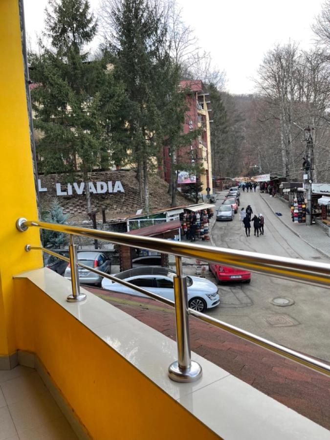 Pensiunea Izvoare Olanesti 3*** Guest house Baile Olanesti