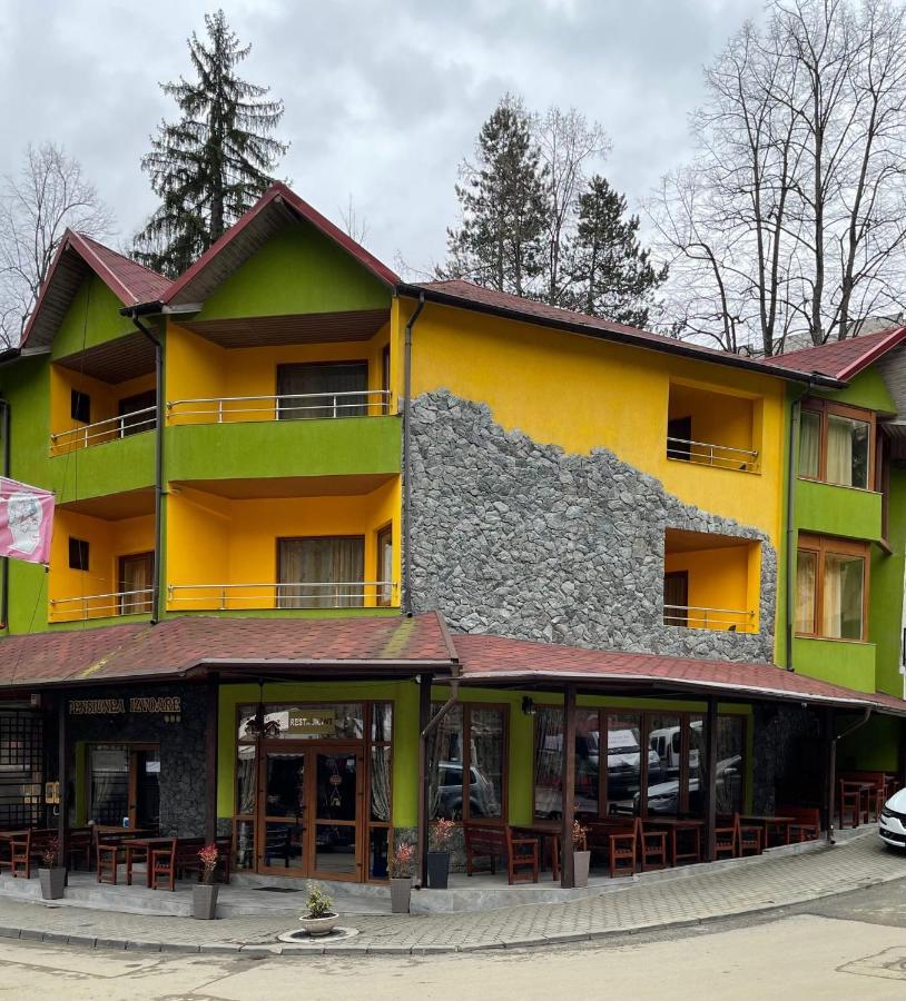 Pensiunea Izvoare Olanesti 3*** Guest house Baile Olanesti
